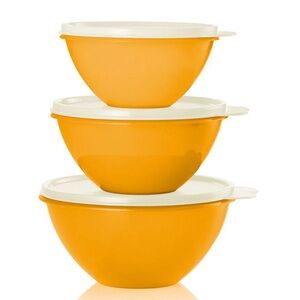 Tupperware Vintage Classic Wonderlier Bowl 3pc Set